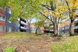 7021 Sand Point  in Seattle
