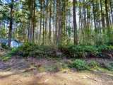 9209 123rd ave  in Anderson Island