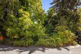 315 Lind  in Renton