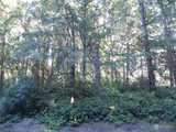 12315 110th  in Anderson Island