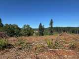 0 Nelson  in Winlock