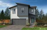 907 Britschgi  in Buckley