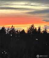 2500 81st  in Mercer Island