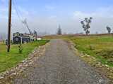 17906 Fennel  in Yelm