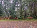 11412 Admiralty Way  in Anderson Island