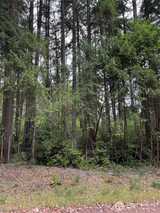9223 Kootenai  in Anderson Island