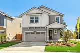 277 Cremini  in Lacey