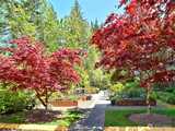 23916 115  in Redmond