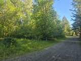 13701 Starflower  in Yelm