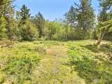 131 Cascara Cove  in Shelton