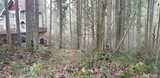 17840 Upland  in Yelm
